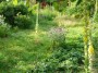 Ландшафт, который не требует ухода