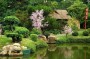 japan1
