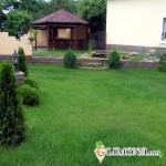 Выбор газона для дачи