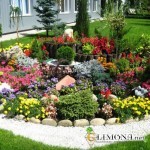 Альпийская горка – маленькое чудо в Вашем саду!