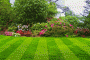 lawn_maintenance