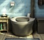 termotoilet-image