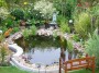 pond_decoration_area_3