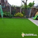 Виды газона