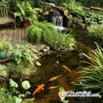 Водяной прудик как часть ландшафтного интерьера 