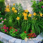 Как сделать красивую клумбу на даче