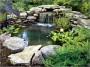 pond