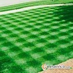 Виды газонов в ландшафтном дизайне