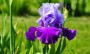 images cms-image-000021719